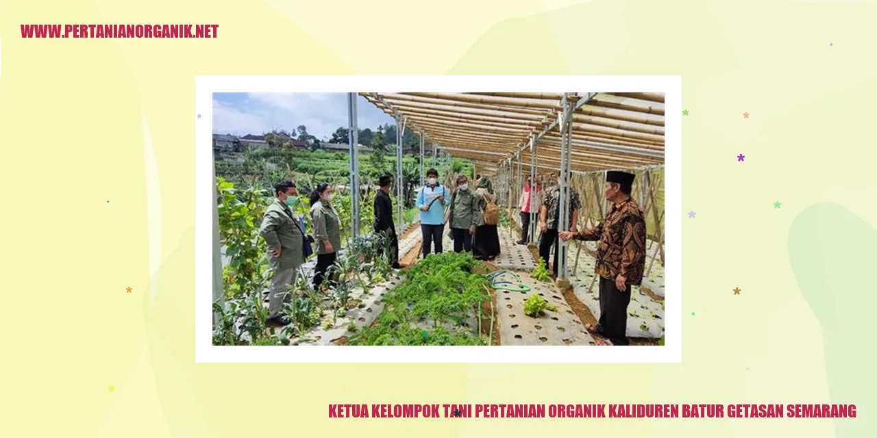 Gambar Kelompok Tani Pertanian Organik di Kaliduren Batur Getasan Semarang