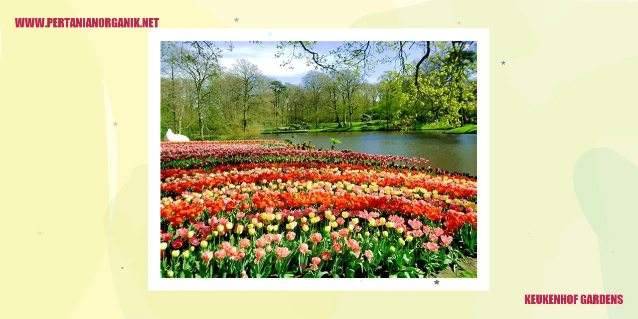 Keukenhof Gardens