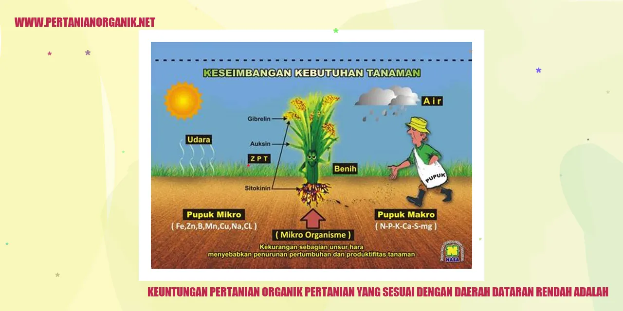 Keuntungan Pertanian Organik di Dataran Rendah