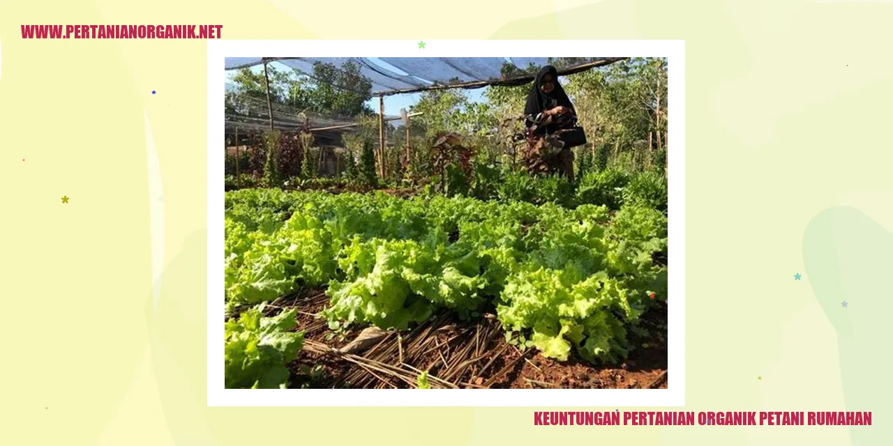 Keuntungan Pertanian Organik petani rumahan