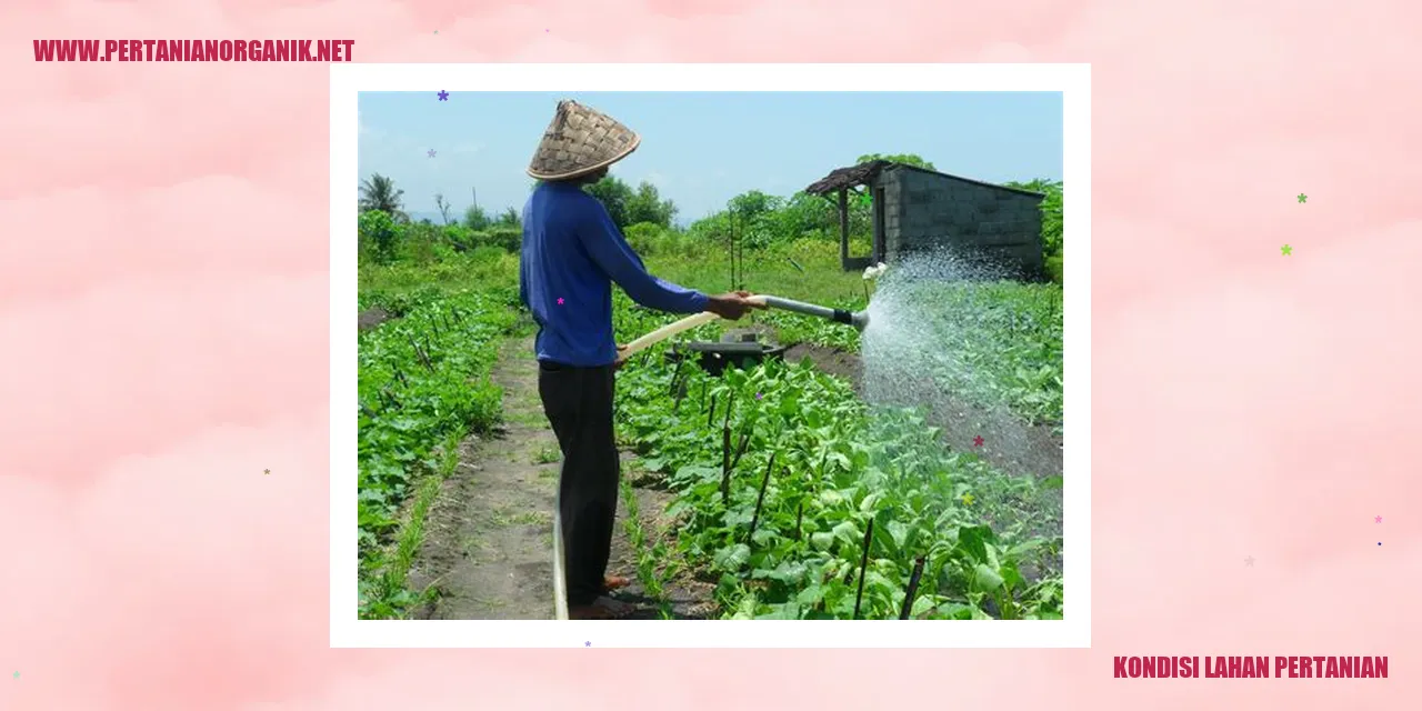 Gambar kondisi lahan pertanian