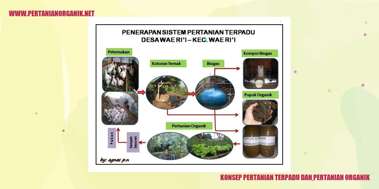 Konsep Pertanian Terpadu