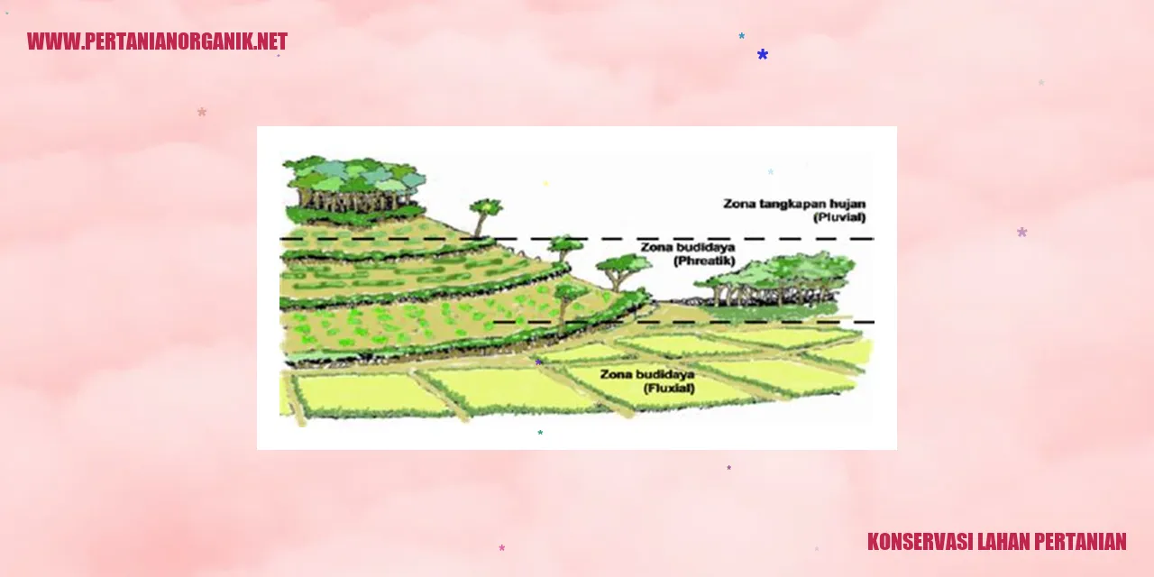 Konservasi Lahan Pertanian