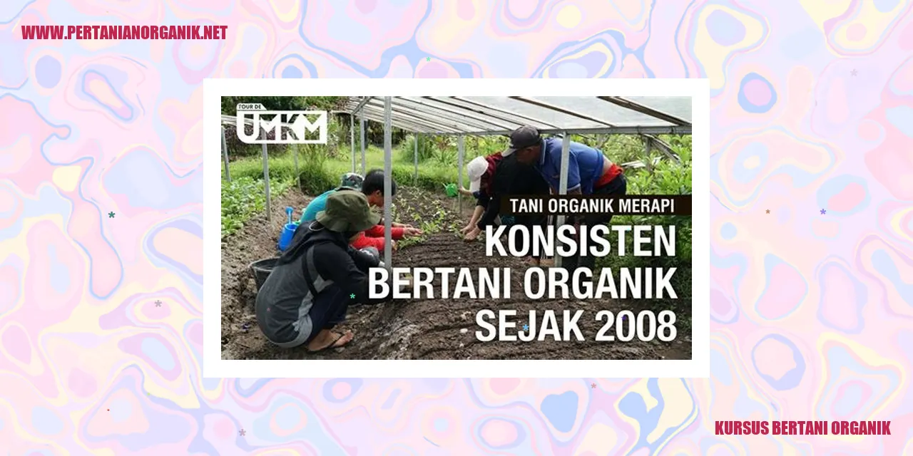 kursus bertani organik