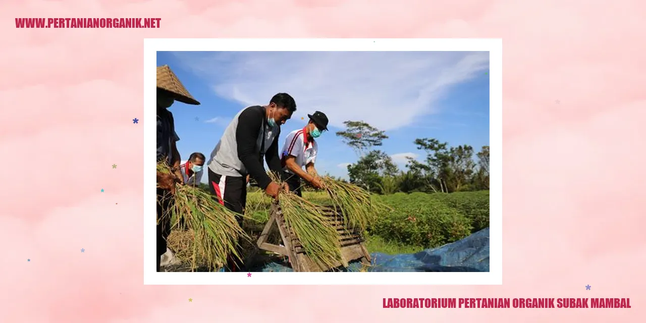 Gambar Laboratorium Pertanian Organik Subak Mambal