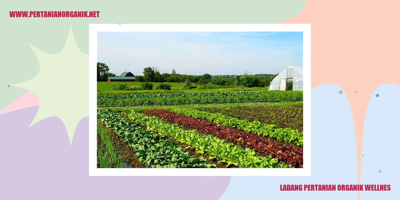 ladang pertanian organik wellnes