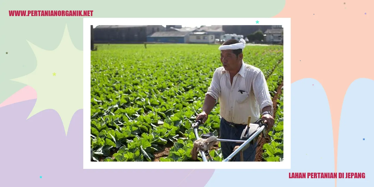 Lahan Pertanian di Jepang