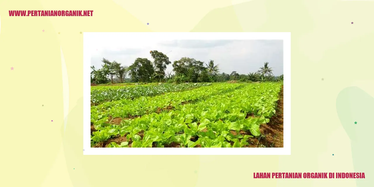 lahan pertanian organik di indonesia