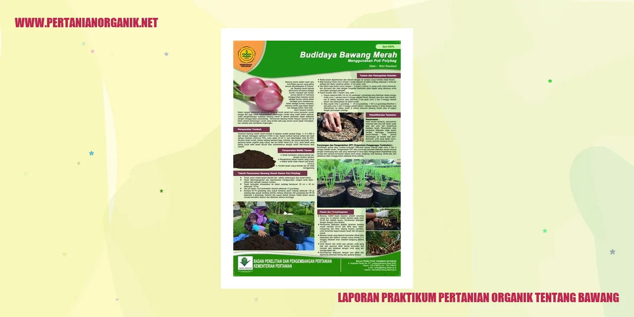 laporan praktikum pertanian organik tentang bawang