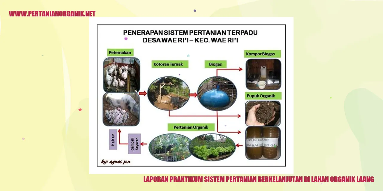 laporan praktikum sistem pertanian berkelanjutan di lahan organik laang