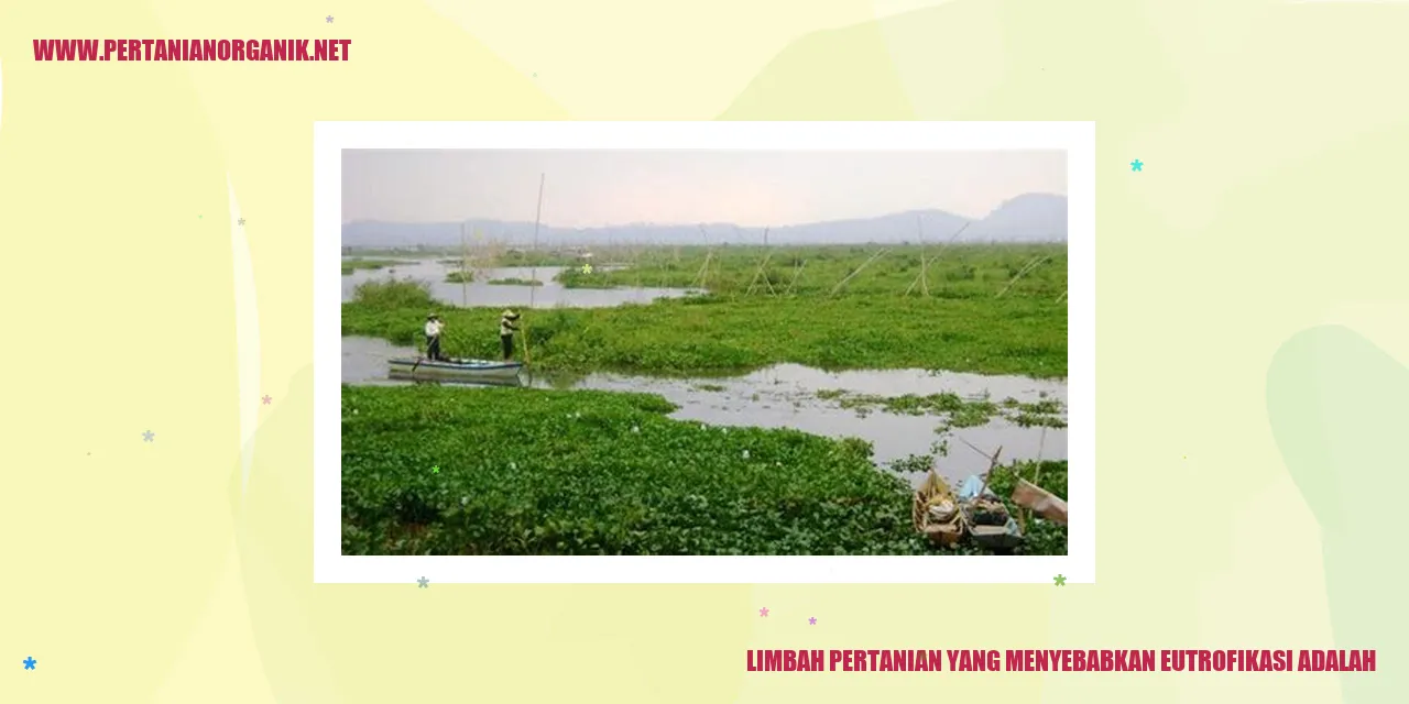 Limbah Pertanian yang Menyebabkan Eutrofikasi