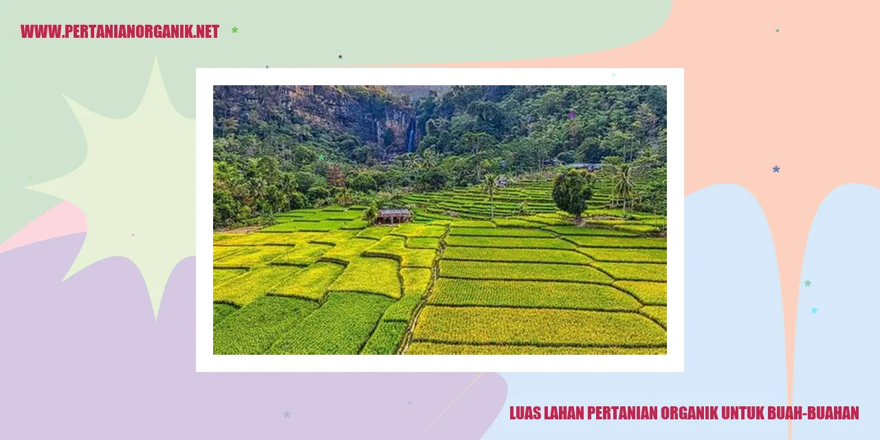 luas lahan pertanian organik untuk buah-buahan