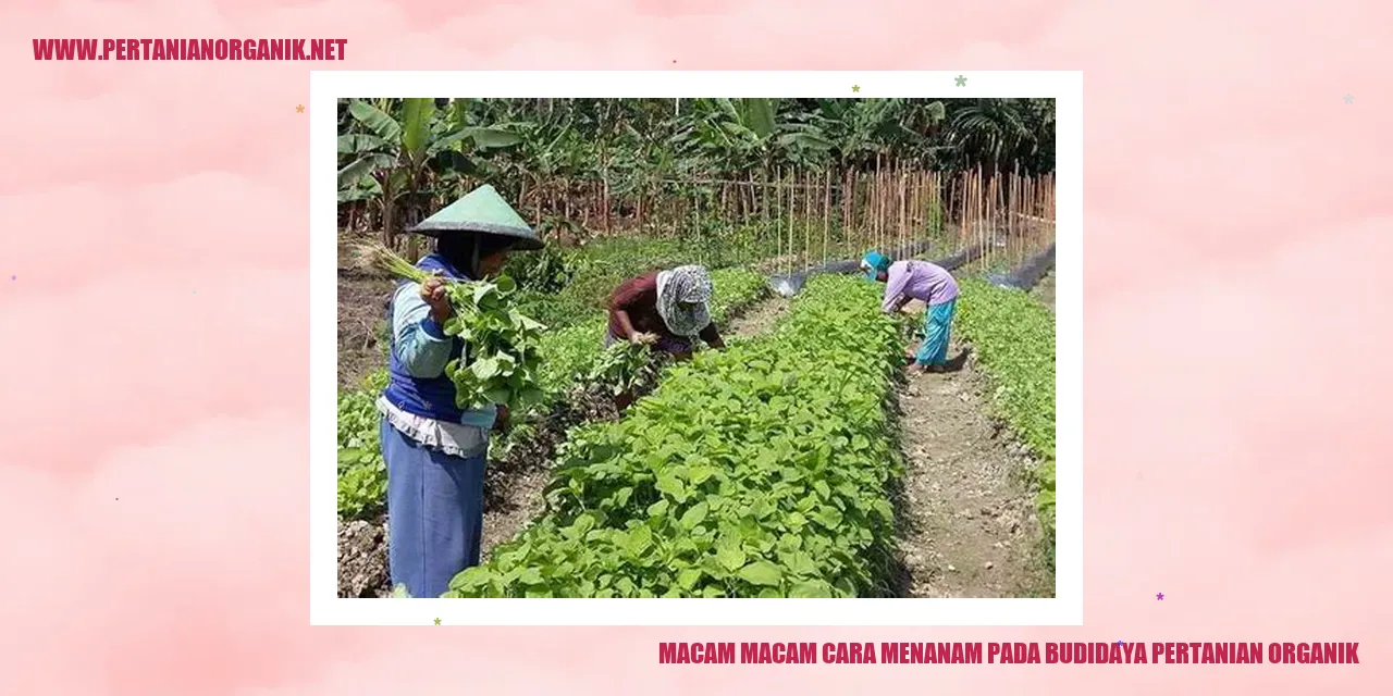 Menanam secara tradisional