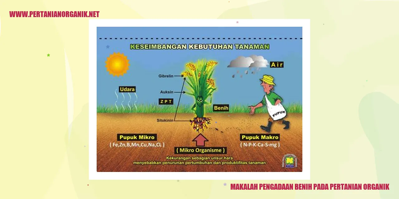 benih pertanian organik