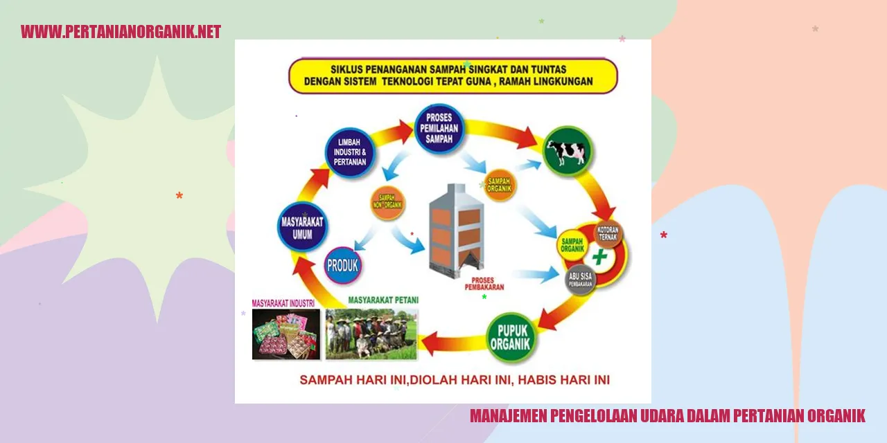 Gambar pertanian organik