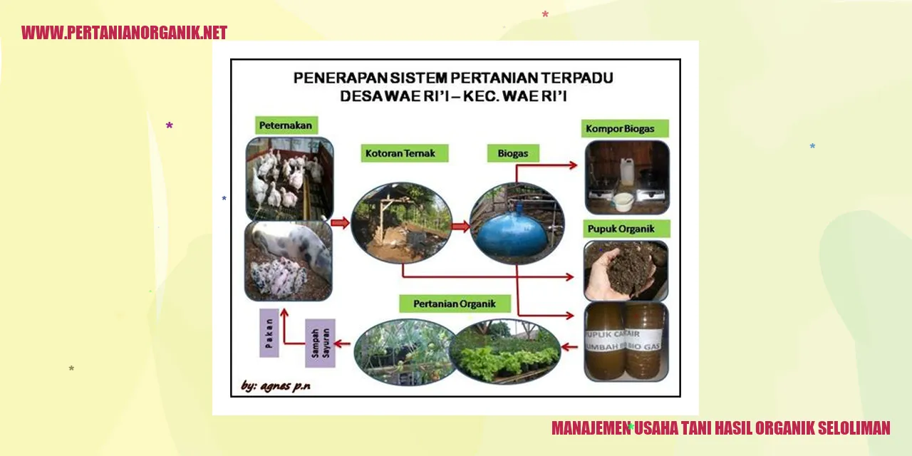 manajemen usaha tani hasil organik seloliman