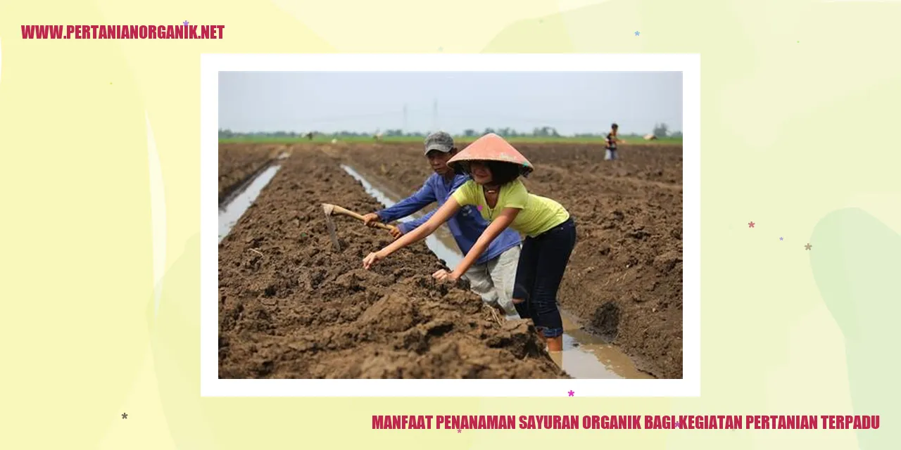 Manfaat Penanaman Sayuran Organik