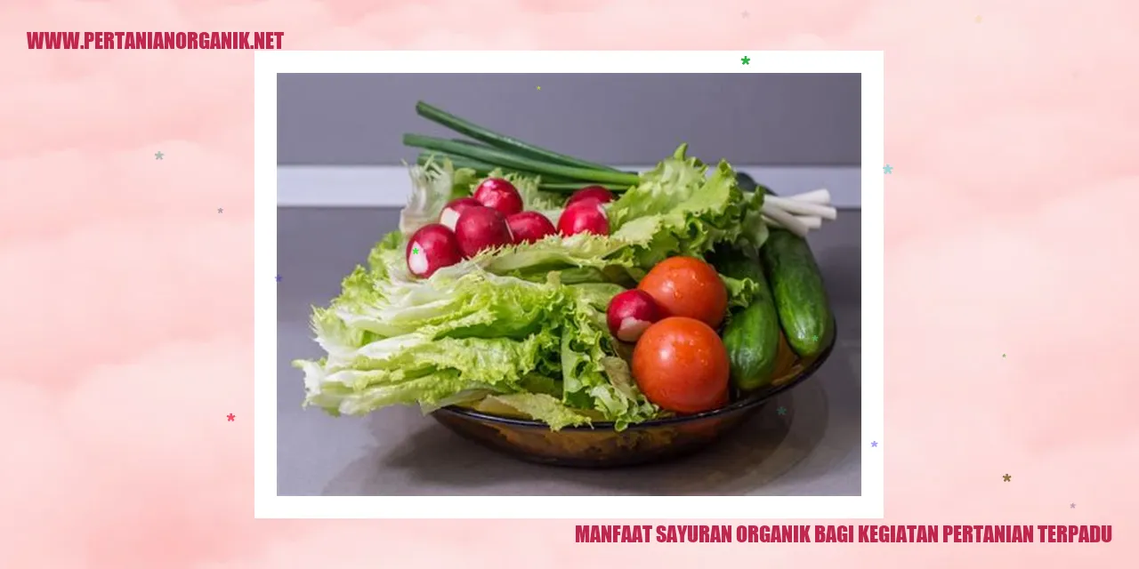 Manfaat Sayuran Organik