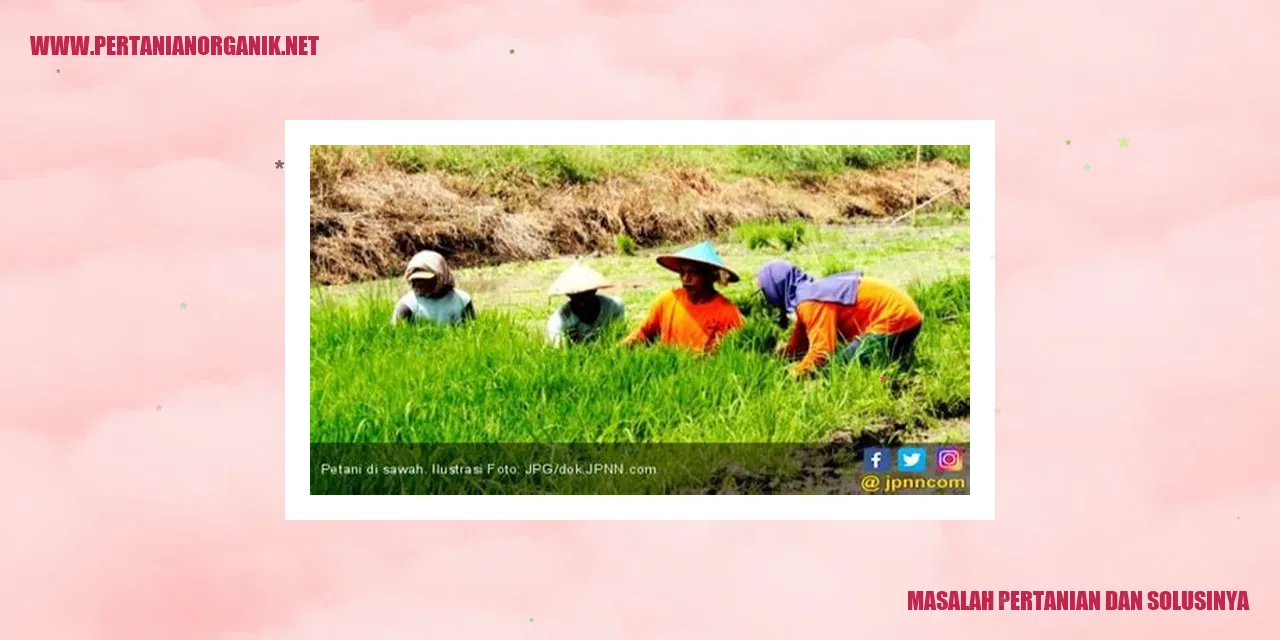 Gambar Pertumbuhan Populasi dan Keterbatasan Lahan