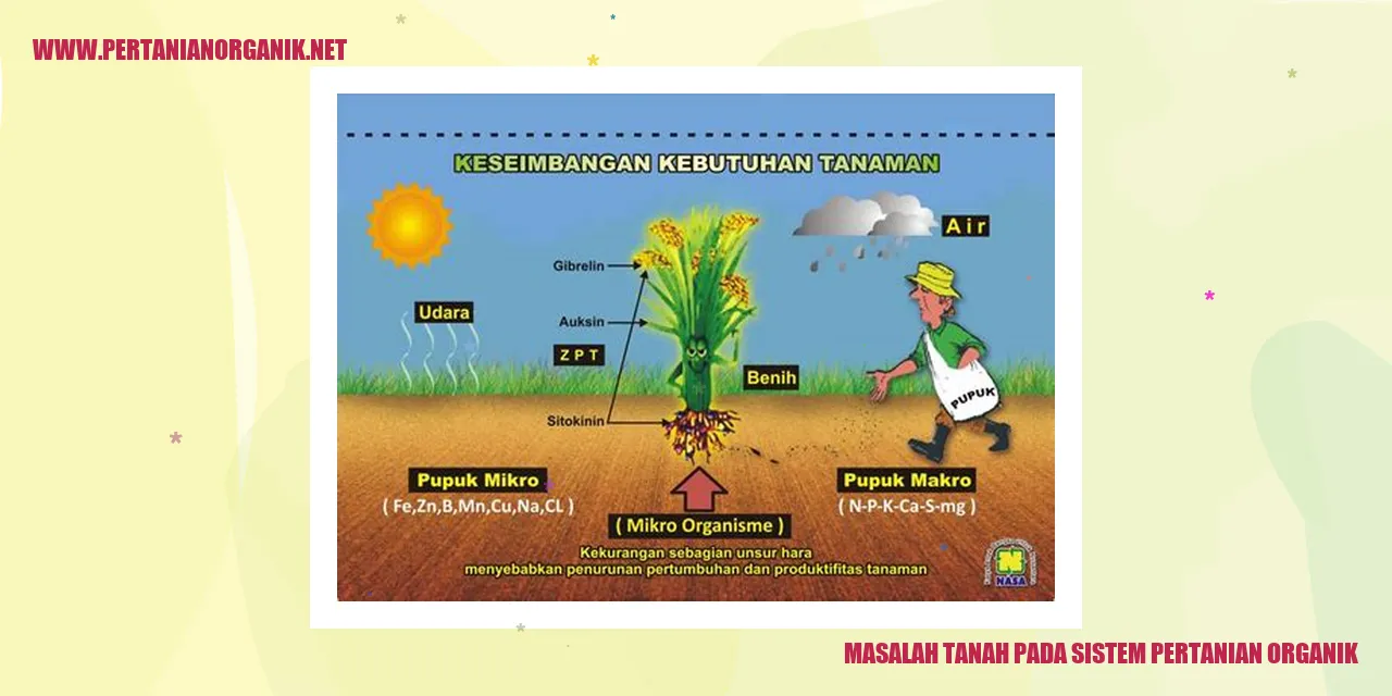 masalah tanah pada sistem pertanian organik