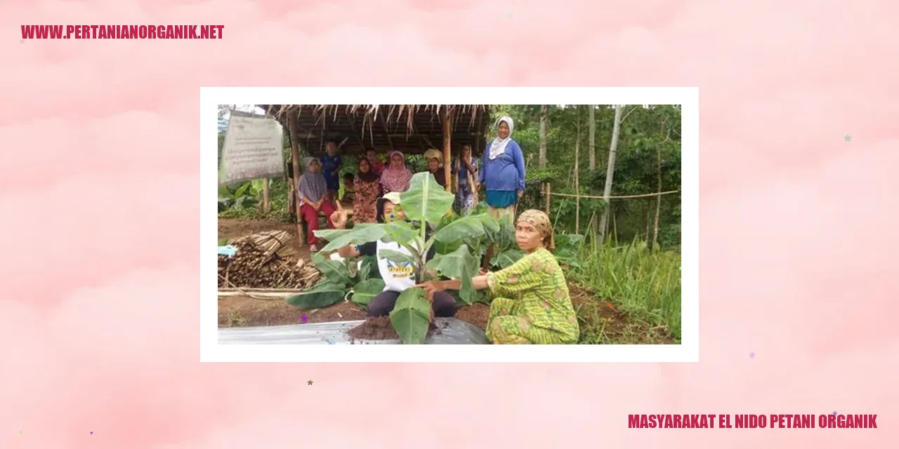 Masyarakat El Nido Petani Organik