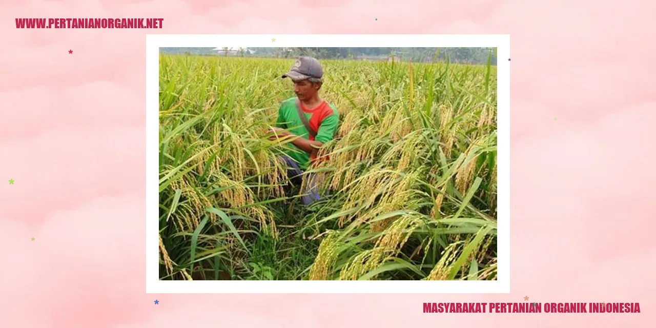 Masyarakat Pertanian Organik Indonesia