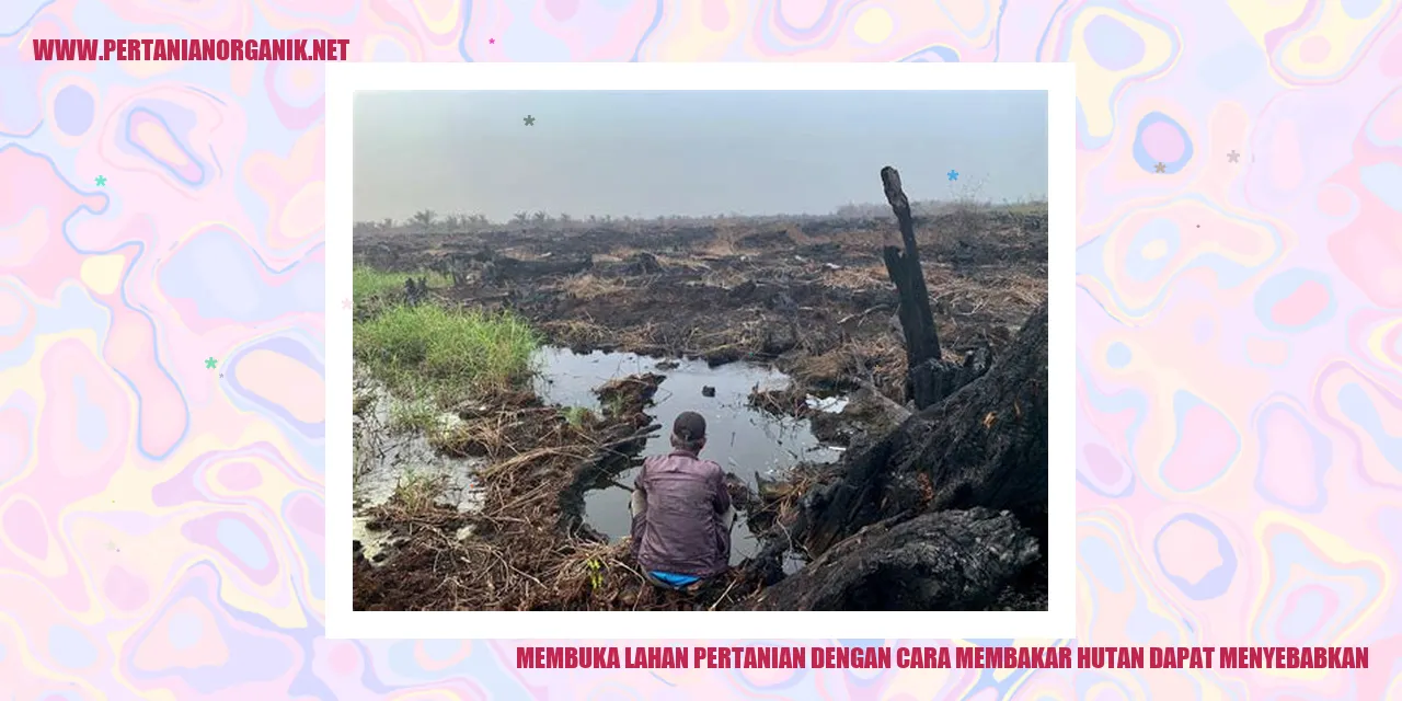 membuka lahan pertanian dengan cara membakar hutan dapat menyebabkan