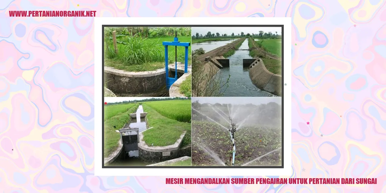 Sungai Nil di Mesir