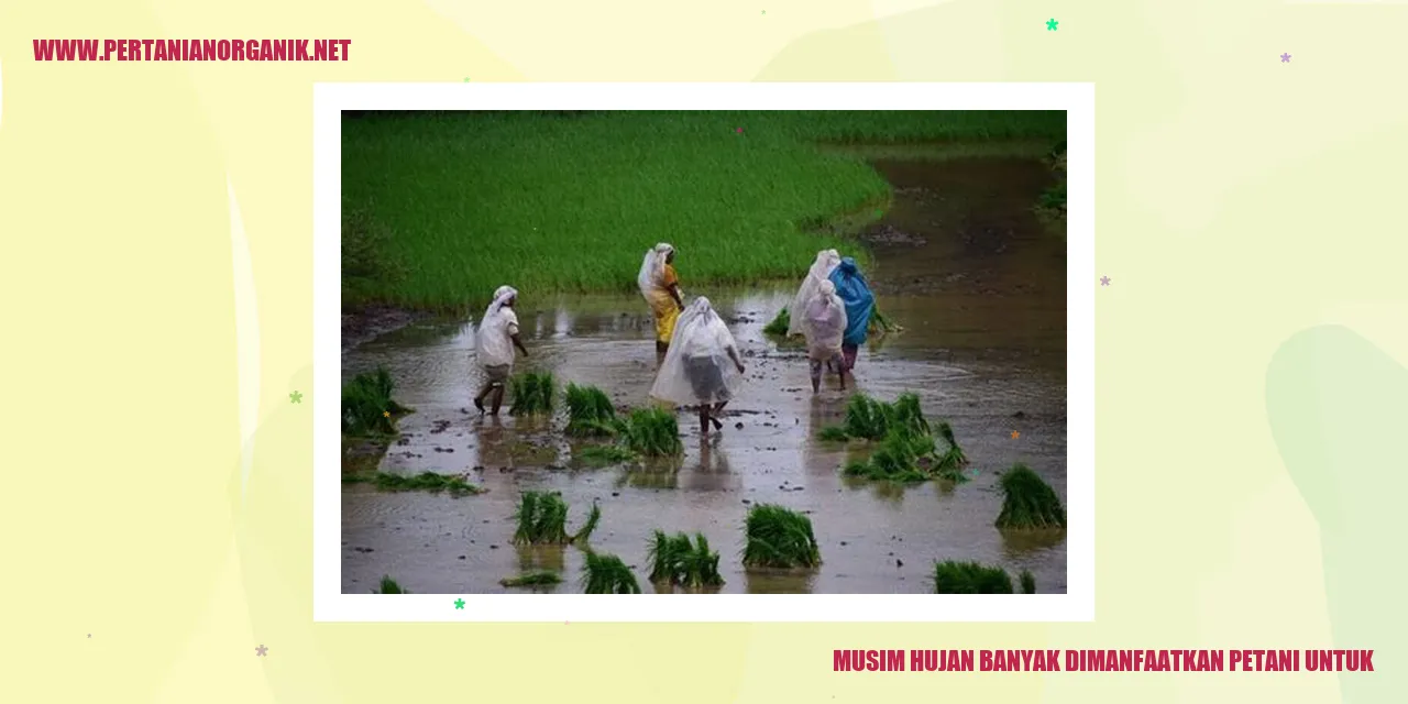 musim hujan banyak dimanfaatkan petani untuk