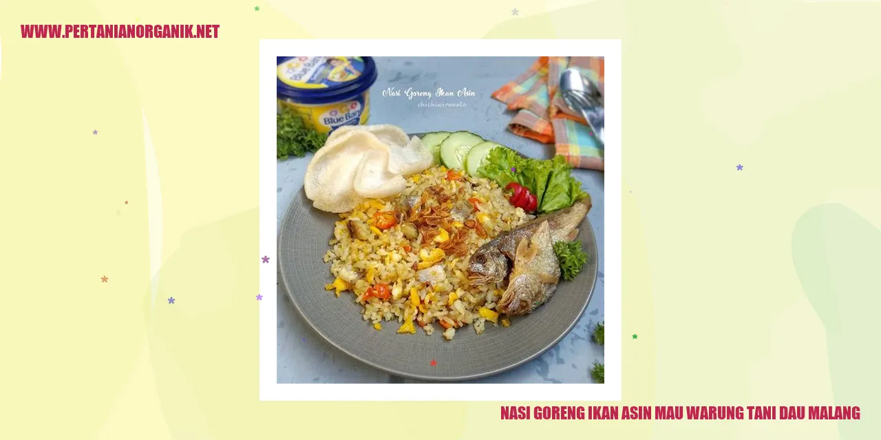 nasi goreng ikan asin mau warung tani dau malang