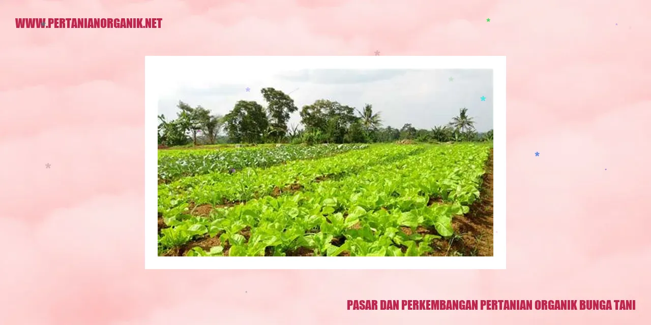 Pasar dan Perkembangan Pertanian Organik Bunga Tani