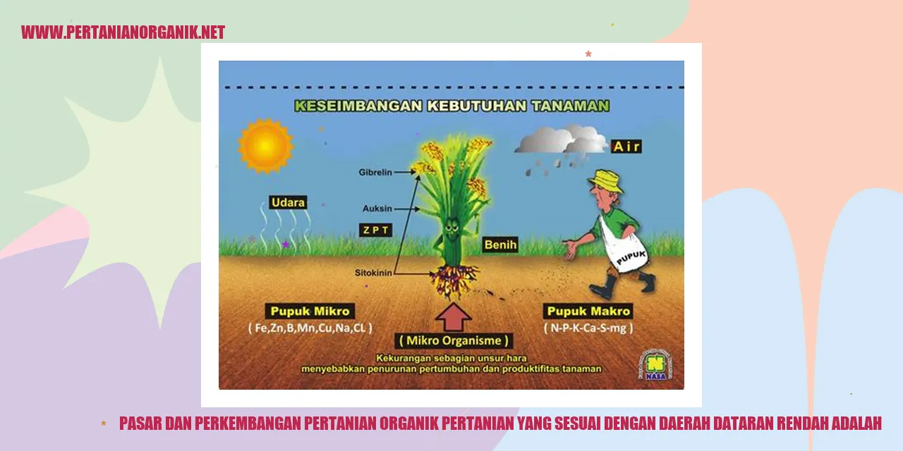 Gambar Pertanian Organik