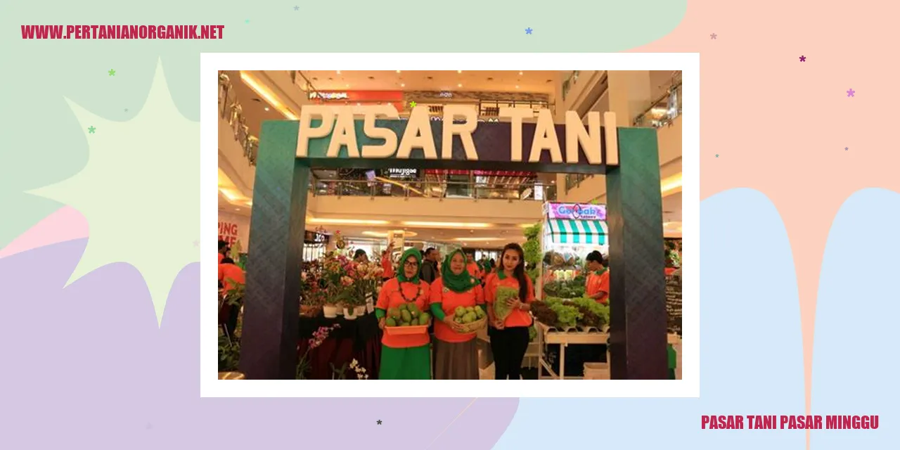 Pasar Tani Pasar Minggu