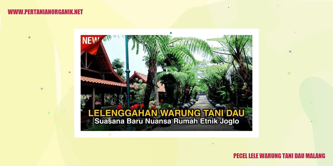 pecel lele warung tani dau malang