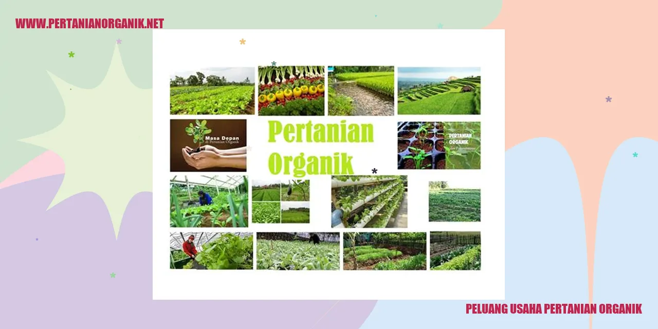 peluang usaha pertanian organik