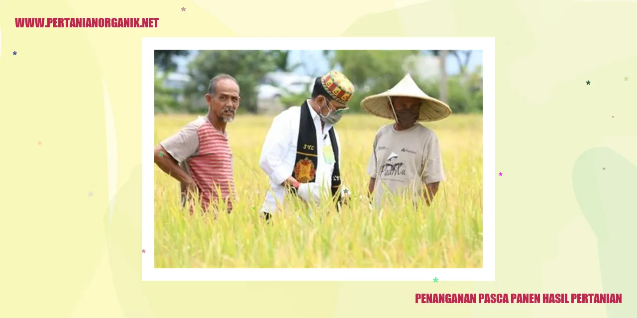 penanganan pasca panen hasil pertanian