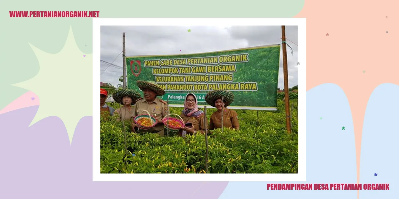 gambar pendampingan desa pertanian organik