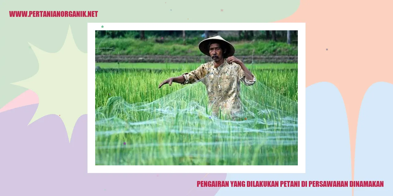 Pengairan yang Dilakukan Petani di Persawahan Dinamakan