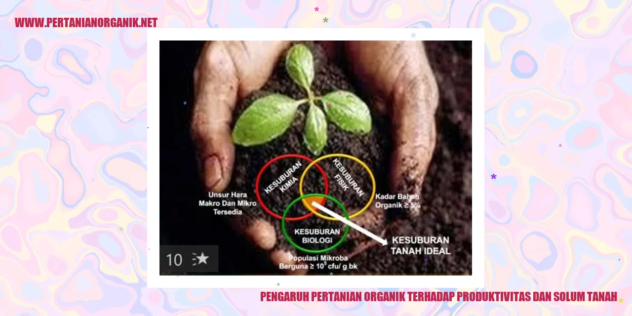 Pengaruh Pertanian Organik Terhadap Produktivitas dan Solum Tanah