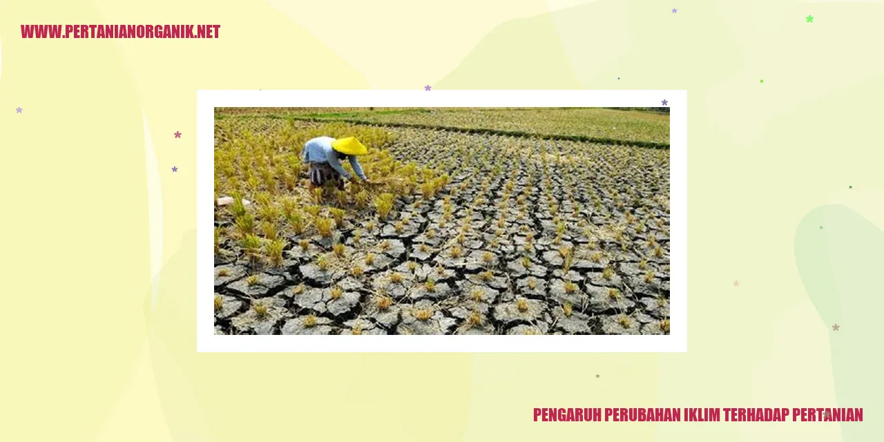 Perubahan Iklim dan Pertanian