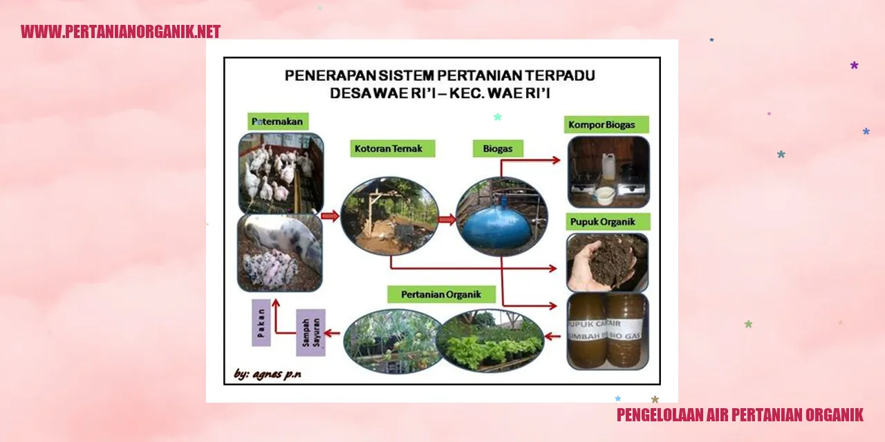 Pengelolaan Air Pertanian Organik