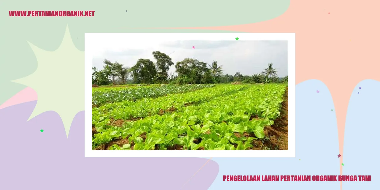 Gambar Pengelolaan Lahan Pertanian Organik Bunga Tani