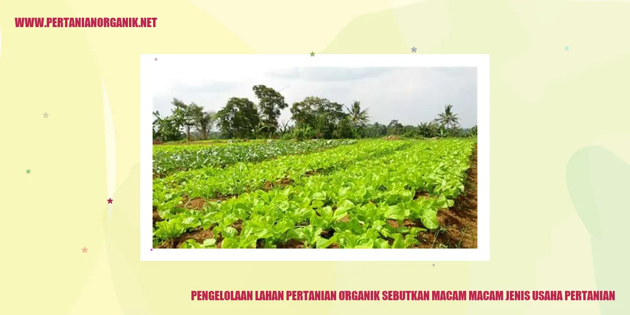 Pengelolaan Lahan Pertanian Organik