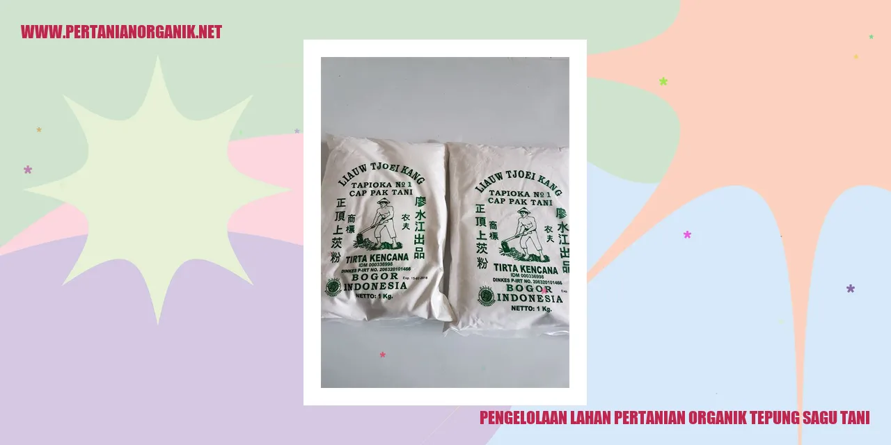 Pengelolaan Lahan Pertanian Organik Tepung Sagu Tani