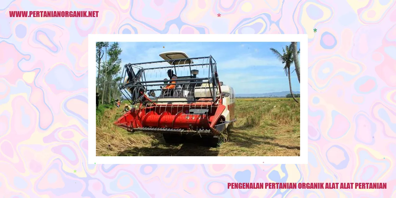 Perkebunan Organik