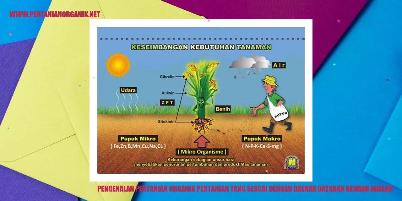 Pertanian Organik di Daerah Dataran Rendah