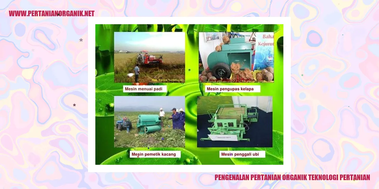 Pengenalan Pertanian Organik