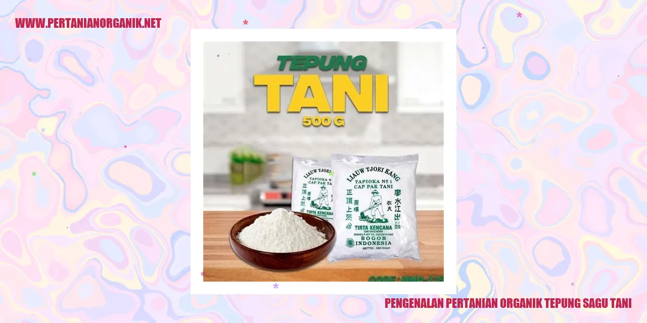 Ilustrasi Pertanian Organik tepung sagu tani