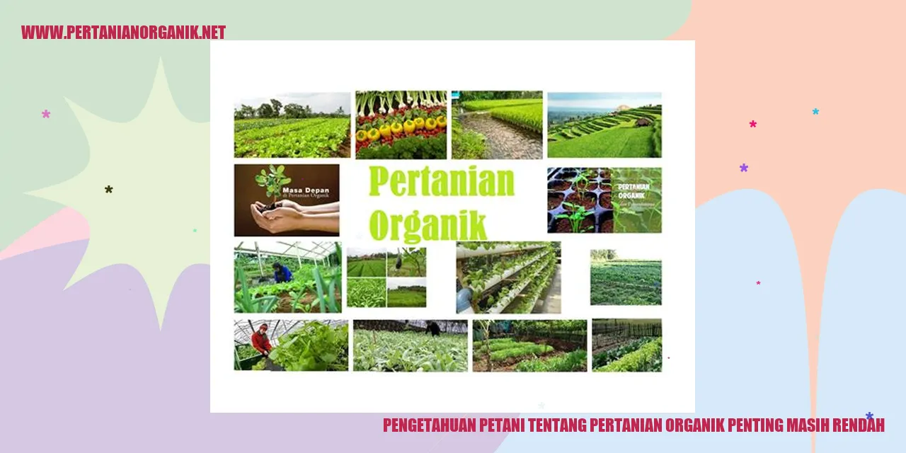 Pengetahuan Petani tentang Pertanian Organik Penting Masih Rendah