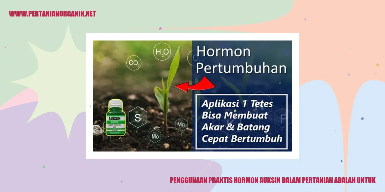 penggunaan praktis hormon auksin dalam pertanian adalah untuk